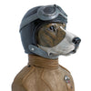 "Beagles" the RAF dog Fighter!
