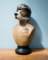 "Beagles" the RAF dog Fighter!