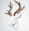 White and Gold Deer Head