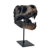 Jurassic Skull Statement Piece