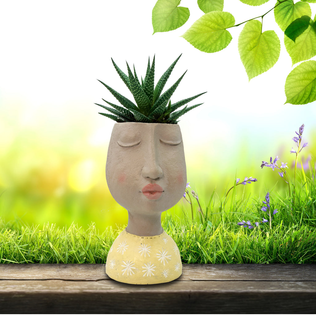 Face & Head Plant Pot  - Yellow