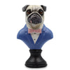 Dressed Pug Dog Bust
