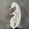 Tidal Duo - Pair of  Seahorses