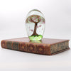 Glass Tree Paperweight
