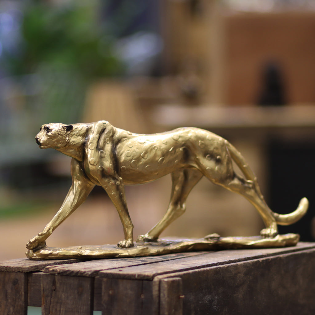 Gold Cheetah