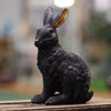 Posh Pets - Black & Gold Rabbit