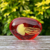 Yellow Jellyfish in Red Glass Ornament
