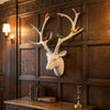 White Deer Head with Coloured Birds | Contemporary Wall Sculpture