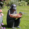 Monkey with Pink Leaf