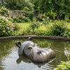 Hippo Head - Small