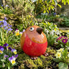 Robin Crazy Bird | Quirky Bird for Home and Garden
