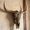 Arizona Desert Skull | Stunning Wall Sculpture