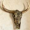 Arizona Desert Skull | Stunning Wall Sculpture