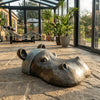 Hippo Head - Small