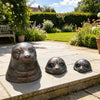 Seal Head Trio