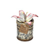 Spice Tin Candle - Pink Lily Flower -  Citrus Fruit Kaffir Lime Fragrance