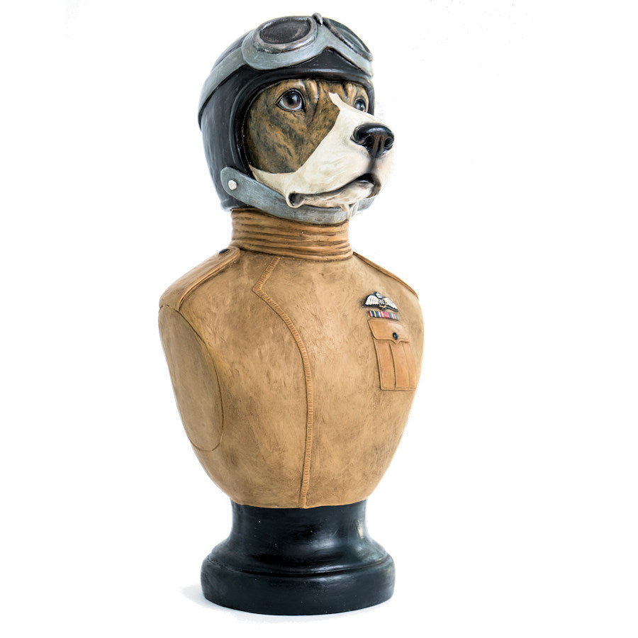 "Beagles" the RAF dog Fighter!