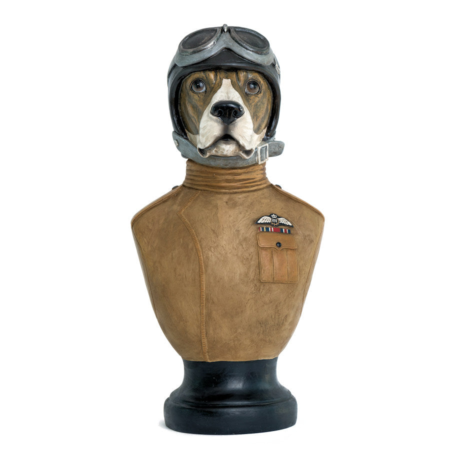 "Beagles" the RAF dog Fighter!