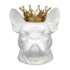 French Bull Dog with Crown