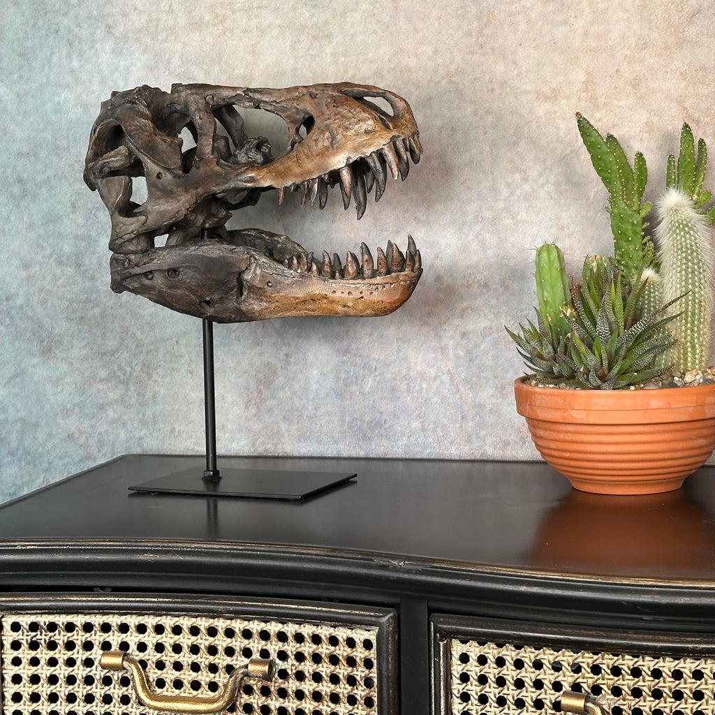 Jurassic Skull Statement Piece