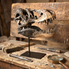 Jurassic Skull Statement Piece