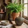 Gold Studded Apple