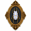 Stag Beetle - Wall Art