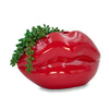 Ruby Red Lip - Plant Pot/Planter