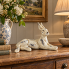 Laid Back Hare