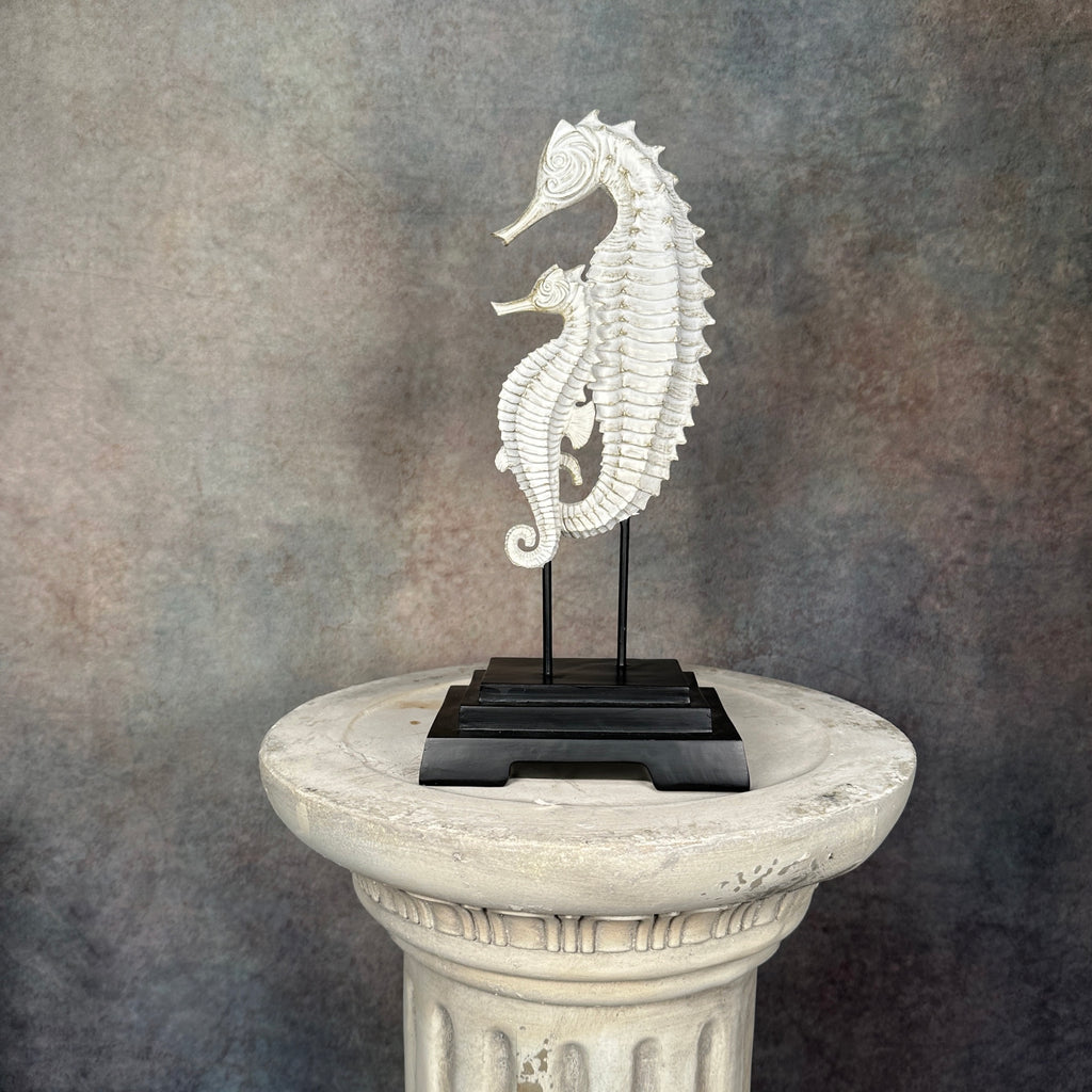 Tidal Duo - Pair of  Seahorses