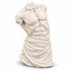 Timeless Male Torso
