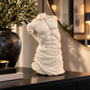 Timeless Male Torso