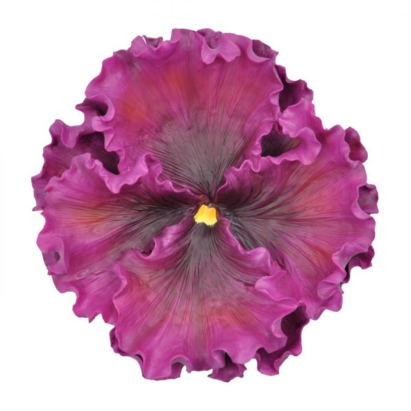 Pansy Wall Plate