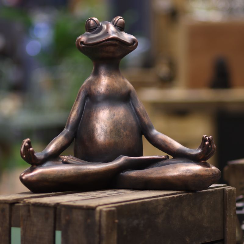 Yoga Frog - Lotus Position