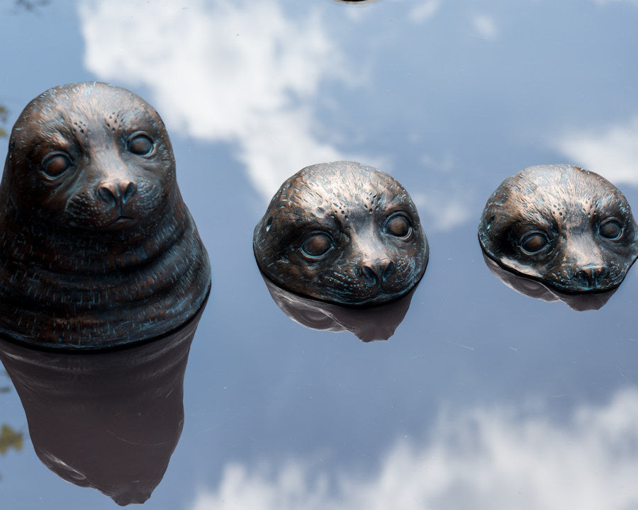 Seal Head Trio