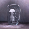 White Jellyfish in Ice Ornament